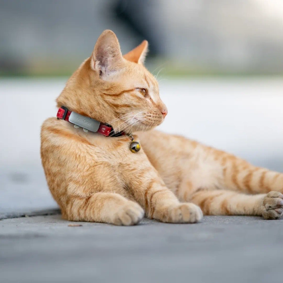 Tracker notiOne GPS PET PLUS – for Dogs and Cats